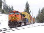 BNSF 5301